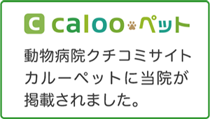 Calooペットに紹介されました