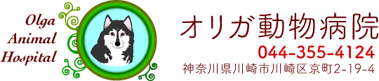 オリガ動物病院 〒210-0848　川崎市川崎区京町2-19-4　tel 044-355-4124 